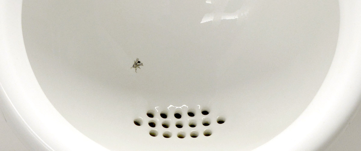 fly in the urinal